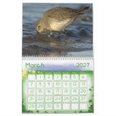 Vogel-Kalender 1 Kalender (Mär 2027)