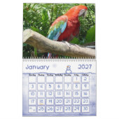 Vogel-Kalender 1 Kalender (Jan 2027)