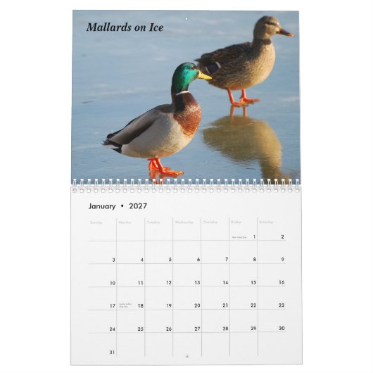 Vogel-Kalender 2010 Kalender (Jan 2027)