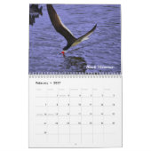 Vogel-Kalender 2010 Kalender (Feb 2027)