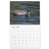 Vogel-Kalender 2012 Kalender (Mär 2027)