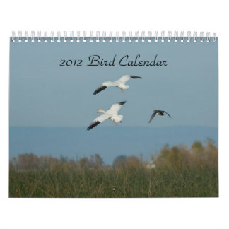 VOGEL-KALENDER 2012 KALENDER