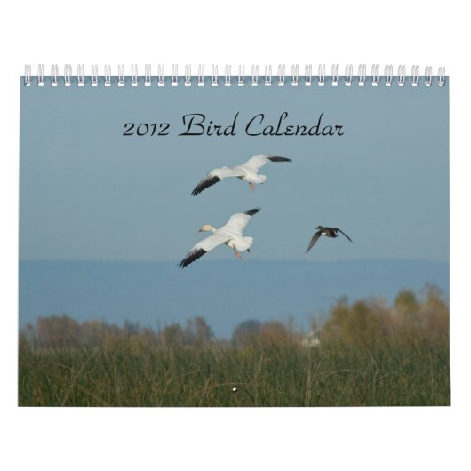 VOGEL-KALENDER 2012 KALENDER (Titelbild)