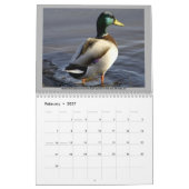 VOGEL-KALENDER 2012 KALENDER (Feb 2027)