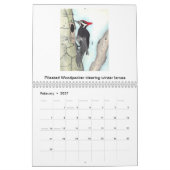 Vogel-Kalender 2018 Kalender (Feb 2027)