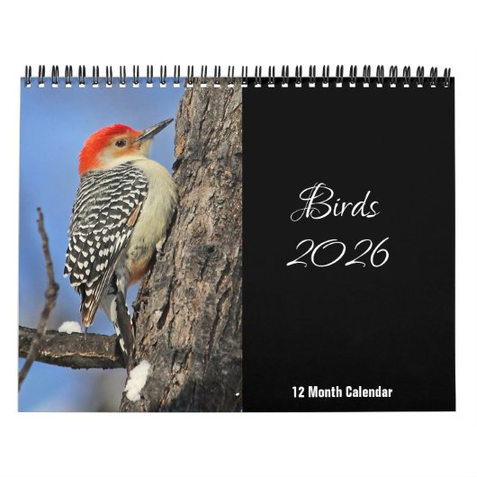 Vögel - Kalender 2026 (Titelbild)
