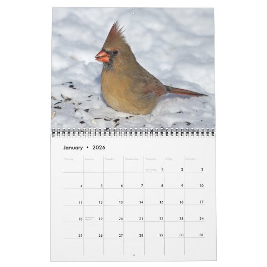 Vögel - Kalender 2026 (Jan 2026)