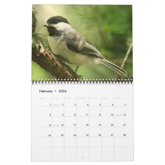 Vögel - Kalender 2026 (Feb 2026)