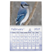 Vogel-Kalender 2 Kalender (Feb 2027)