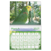 Vogel-Kalender 2 Kalender (Mär 2027)
