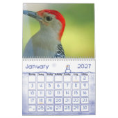 Vogel-Kalender 2 Kalender (Jan 2027)