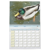Vogel-Kalender 5 Kalender (Jan 2027)
