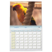 Vogel-Kalender 6 Kalender (Jan 2027)