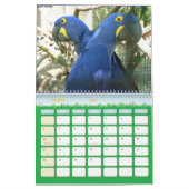 Vogel-Kalender 6 Kalender (Mär 2027)