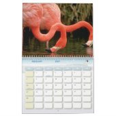 Vogel-Kalender 6 Kalender (Feb 2027)