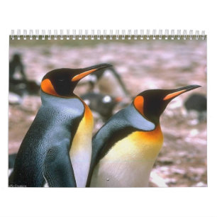Vogel-Kalender 6 Kalender