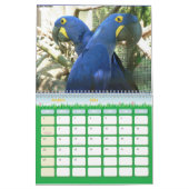 Vogel-Kalender 6 Kalender (Mär 2026)