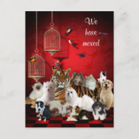 Vögel & Katzen und Käfige rot, Wir haben Postcard