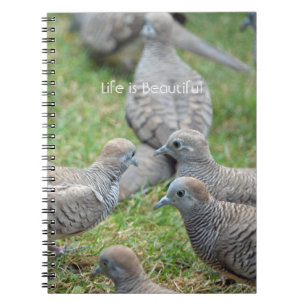 Vögel Kauai (meine Fotografie) Notizblock