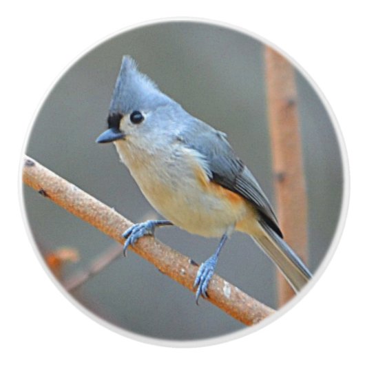 Vogel-Keramik-Griff Keramikknauf (Vorderseite)