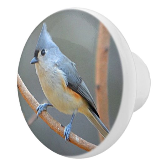 Vogel-Keramik-Griff Keramikknauf (Rechts)