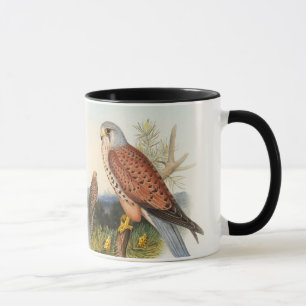 Vögel Kestrel-Falke-Johns Gould von Großbritanni Tasse