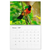 Vögel Kolumbiens Kalender (Feb 2027)