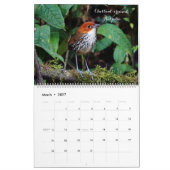 Vögel Kolumbiens Kalender (Mär 2027)