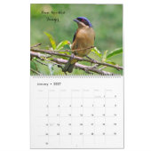 Vögel Kolumbiens Kalender (Jan 2027)