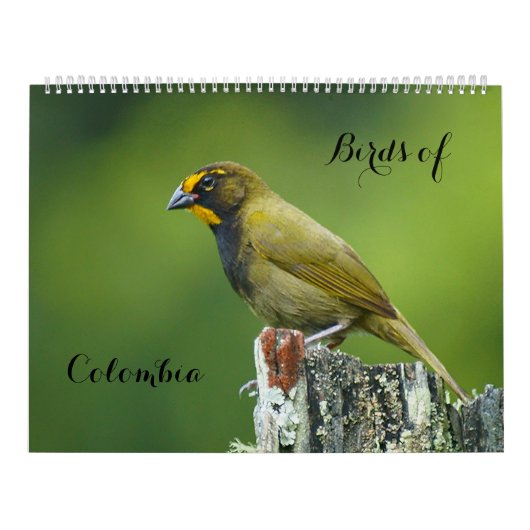 Vögel Kolumbiens Kalender (Titelbild)