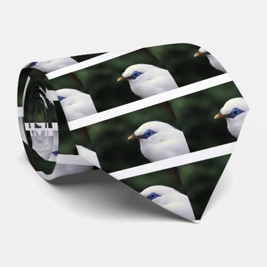 Vögel Krawatte (Gerollt)