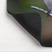 Vögel, Langschwanzmeise, Tiere Mousepad (Ecke)