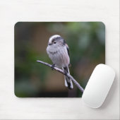 Vögel, Langschwanzmeise, Tiere Mousepad (Mit Mouse)