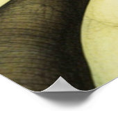 Vogel-Liebe 1 Poster (Ecke)