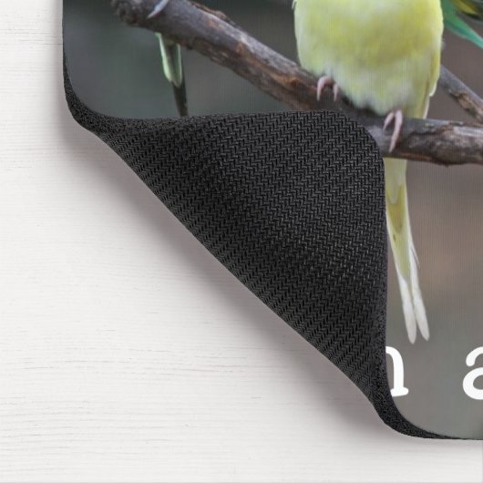 Vogel-Liebe-ZitatParakeets Budgies Foto Mousepad (Ecke)