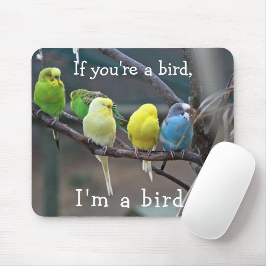 Vogel-Liebe-ZitatParakeets Budgies Foto Mousepad (Mit Mouse)