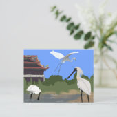 Vögel -- Löffler und Silberreiher Postkarte (Stehend Vorderseite)