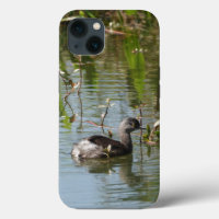 Vogel Lover! Grebe schwimmen im Teich