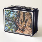 Vogel Lunch Box (Rückseite)