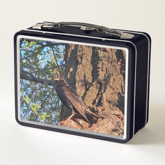 Vogel Lunch Box (Rückseite)