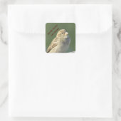 Vögel machen mich zum Lächeln eines kleinen braune Quadratischer Aufkleber (Tasche)