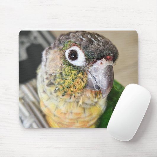 Vogel-Maus-Pad und Schreibtischmatte Mousepad (Mit Mouse)
