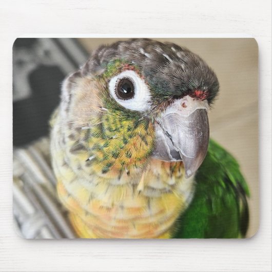 Vogel-Maus-Pad und Schreibtischmatte Mousepad (Vorne)