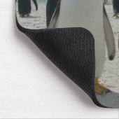 Vogel-Mausunterlage 19 Mousepad (Ecke)