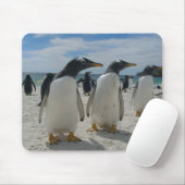 Vogel-Mausunterlage 19 Mousepad (Mit Mouse)