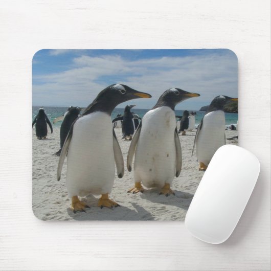 Vogel-Mausunterlage 19 Mousepad (Mit Mouse)