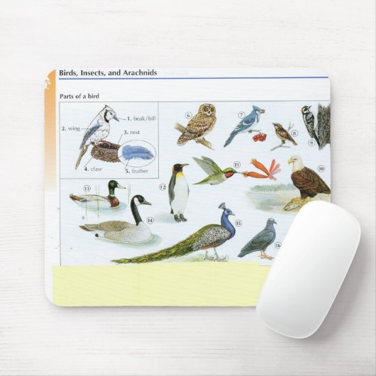 Vogel-Mausunterlage 24 Mousepad (Mit Mouse)