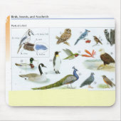 Vogel-Mausunterlage 24 Mousepad (Vorne)