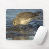 Vogel-Mausunterlage 3 Mousepad (Mit Mouse)
