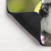 Vogel-Mausunterlage 6 Mousepad (Ecke)